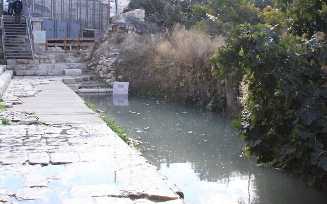 Le bassin de Siloam dans la cité de David, à Jérusalem. (Crédit :  Shmuel Bar-Am)