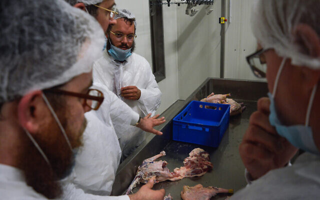 Des rabbins examinent la chaîne de production de Quality Poultry KFT à Csengele, enHongrie, en février 2017. (Crédit:Zsolt Demecs/ via JTA)