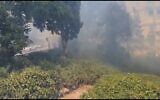 La scène d'un incendie à Haïfa, le 30 juin 2021. (Capture d'écran)
