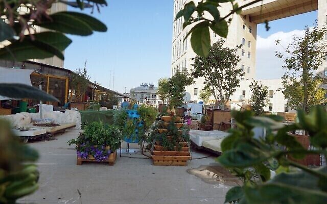 Muslala sur le toit du centre Clal, à Jérusalem. (Crédit : Jerusalem Green Fund/Muslala)