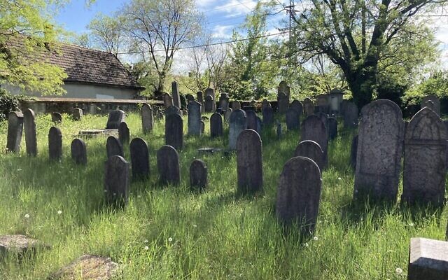 L'ancien cimetière juif de Nagyteteny, le 11 mai 2021. (Crédit : Yaakov Schwartz/ Times of Israel)