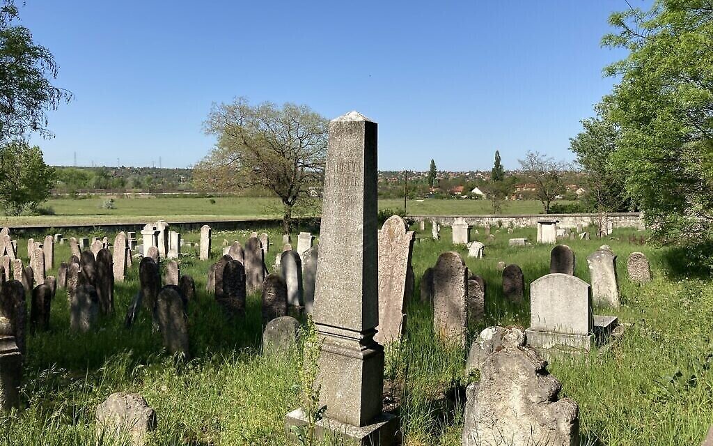 Des prés entourent l'ancien cimetière juif de Nagyteteny, à Budapest, le 11 mai 2021. (Crédit : Yaakov Schwartz/ Times of Israel)