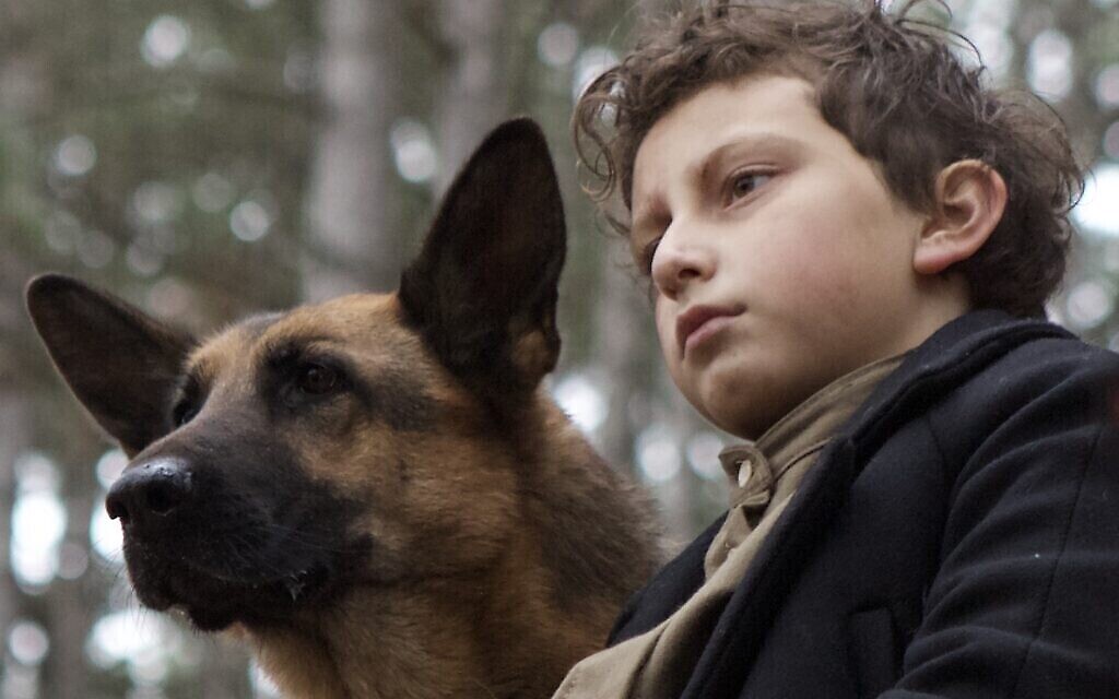 August Maturo dans le rôle de "Joshua" et le chien "Caleb" dans "Shepherd : L'histoire d'un chien juif" 
(Crédit : JDog Films)