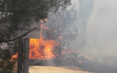 Un incendie près de l'implantation de Migdalim, en Cisjordanie, le 4 juillet 2021. (Crédit : Services de lutte contre les incendies d'Israël)