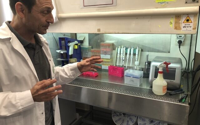 Le Dr Yuval Cinnamon, spécialiste des embryons qui dirige le groupe de recherche NRS Poultry à l'Institut Volcani de Rehovot, montre le laboratoire où lui et son équipe tentent de modifier la technologie génétique des œufs. (Crédit : Jessica Steinberg/Times of Israel)