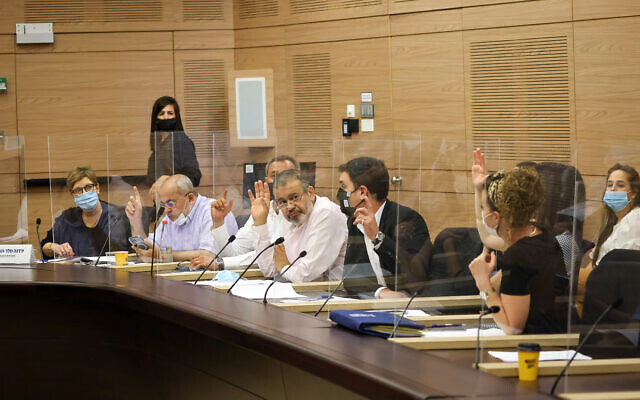 Les membres de la commission parlementaire de la Knesset votent pour établir une série de nouvelles commissions parlementaires, le 25 juillet 2021. (Crédit : Knesset) Les membres de la commission parlementaire de la Knesset votent pour établir une série de nouvelles commissions parlementaires, le 25 juillet 2021. (Crédit : Knesset)