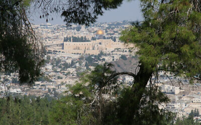 Une vue de la vieille ville depuis le sentier Goldman de Jérusalem, qui fait partie de la promenade Armon Hantaziv. (Crédit : Shmuel Bar-Am)