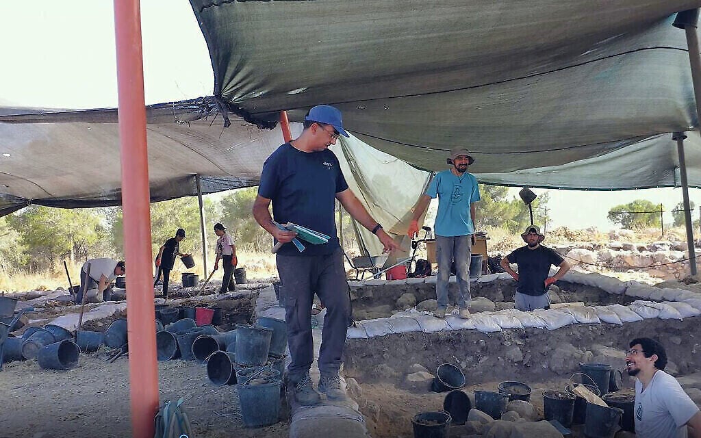 Saar Ganor, Autorité des Antiquités d'Israël, à Khirbet el Rai. (Crédit: Emil Aladjem, Autorité des Antiquités d'Israël)