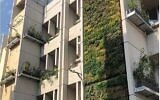 Un bâtiment du campus de l'université Bar Ilan, près de Tel Aviv, dont les façades ont été largement recouvertes de végétation. (Projet BIU Vertical Fields)