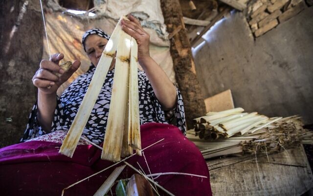 Une femme coupe le papyrus à l'aide d'un fil à l'atelier du village d'al-Qaramous dans la province de Sharqiyah, dans la région fertile du nord du delta du Nil en Égypte, à quelques kilomètres au nord-est de la capitale, le 28 juillet 2021. (Crédit : Khaled DESOUKI / AFP)