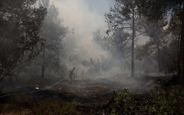 Un pompier israélien lutte contre les incendies de forêt près de Shoresh, à la périphérie de Jérusalem, le 16 août 2021. (Crédit : AP Photo/Maya Alleruzzo)