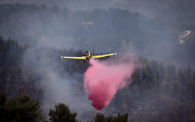 Des pompiers et des citoyens israéliens tentent d'éteindre un incendie qui s'est déclaré dans une forêt près de Beit Meir, à l'extérieur de Jérusalem, le 16 août 2021. (Crédit : Yonatan Sindel/Flash90)