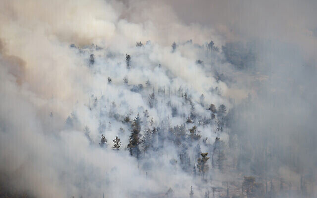 De la fumée sur une forêt proche de Jérusalem alors qu'un incendie se propage vers le sud de la ville sainte, le 16 août 2021. (Crédit : Yonatan Sindel/Flash90)