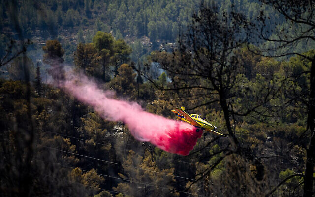 Un canadair tente d'éteindre un gigantesque incendie ravageant les montagnes de Jérusalem, le 17 août 2021. (Crédit : Yonatan Sindel/Flash90) Un canadair tente d'éteindre un gigantesque incendie ravageant les montagnes de Jérusalem, le 17 août 2021. (Crédit : Yonatan Sindel/Flash90)