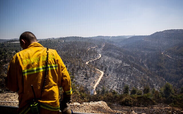 Un membre des équipes de secours regarde les arbres brûlés après un gigantesque incendie qui a touché les collines de Jérusalem, le 17 août 2021. (Crédit : Yonatan Sindel/Flash90) Un membre des équipes de secours regarde les arbres brûlés après un gigantesque incendie qui a touché les collines de Jérusalem, le 17 août 2021. (Crédit : Yonatan Sindel/Flash90)