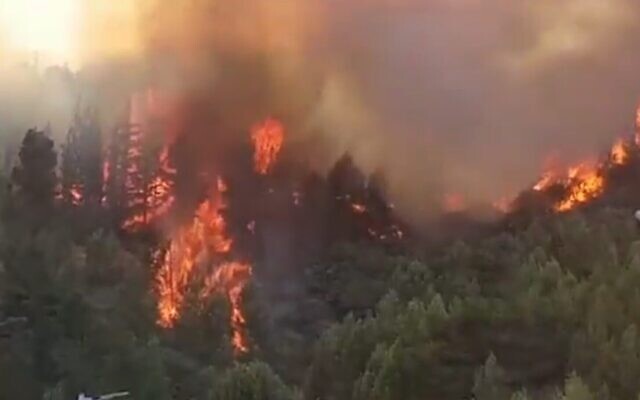 Capture d'écran d'une vidéo d'un feu de forêt après de Kiryat Shmona, dans le nord du pays, le 12 août 2021. (Capture d'écran : Twitter) Capture d'écran d'une vidéo d'un feu de forêt après de Kiryat Shmona, dans le nord du pays, le 12 août 2021. (Capture d'écran : Twitter)