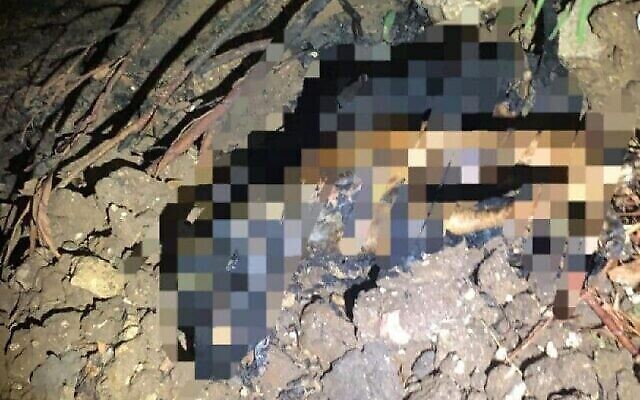 Le cadavre brûlé d'un chien malinois belge qui a été attaché avec du ruban adhésif et trouvé près de l'échangeur de Komemiyut, près de Bat Yam, le 26 août 2021. (Crédit : Police israélienne) Le cadavre brûlé d'un chien malinois belge qui a été attaché avec du ruban adhésif et trouvé près de l'échangeur de Komemiyut, près de Bat Yam, le 26 août 2021. (Crédit : Police israélienne)