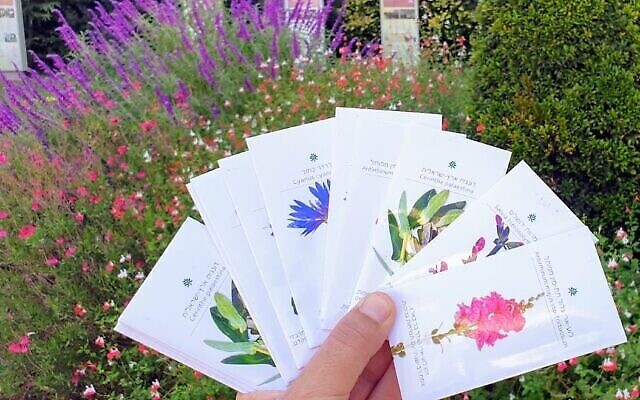 Quelques-uns des sachets de graines du patrimoine au Jardin botanique de Jérusalem (Crédit : avec l'aimable autorisation du Jardin botanique de Jérusalem).