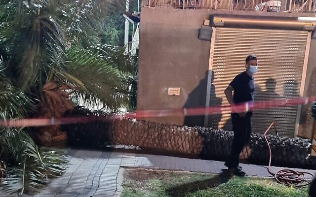 Un palmier qui s'est effondré sur une femme de 66 ans à Tibériade, le 22 août 2021. (Crédit : Magen David Adom) Un palmier qui s'est effondré sur une femme de 66 ans à Tibériade, le 22 août 2021. (Crédit : Magen David Adom)