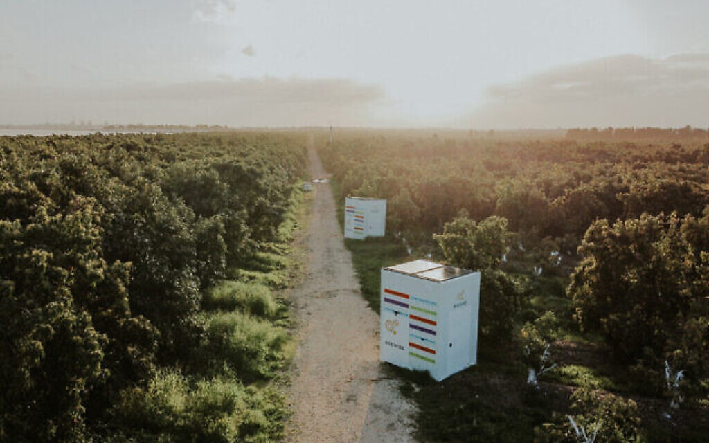 Beehomes par Beewise dans un champ.(Autorisation)