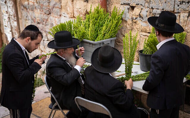 Des Juifs ultra-orthodoxes examinent de la myrte à Mea Sharim, à Jérusalem, le 19 septembre 2021. (Crédit : Olivier Fitoussi/Flash90)