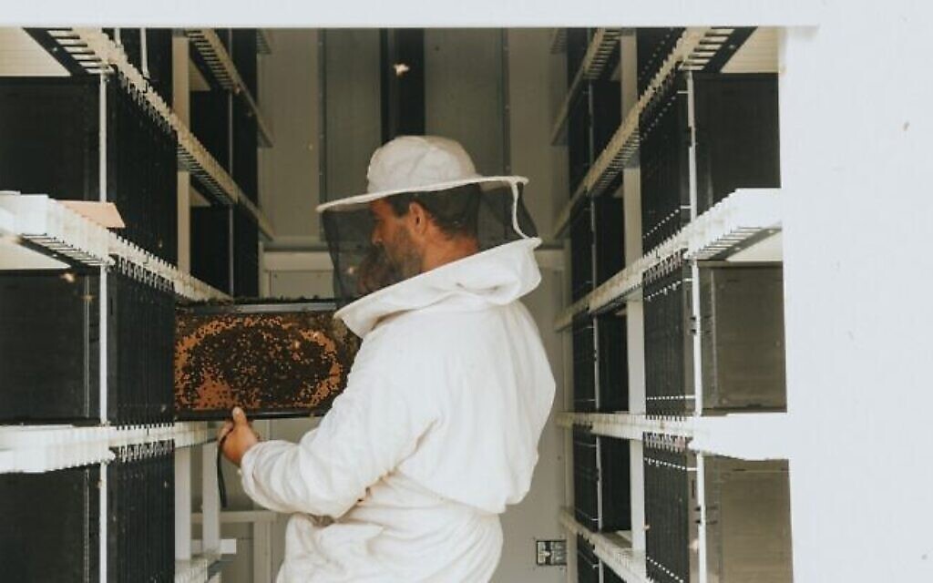 L'intérieur du Beehome, une ruche autonome et automatisée de la startup israélienne Beewise qui peut abriter jusqu'à 24 colonies d'abeilles.  (Autorisation)