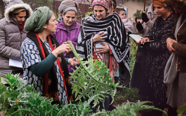 Talia Schneider (à l'extrême gauche), experte en permaculture et enseignante de la shmitta, avec quelques élèves dans le jardin, avant le début de l'année sabbatique de la terre, le jour de Rosh Hashanah 2021. (Crédit : autorisation : Talia Schneider)