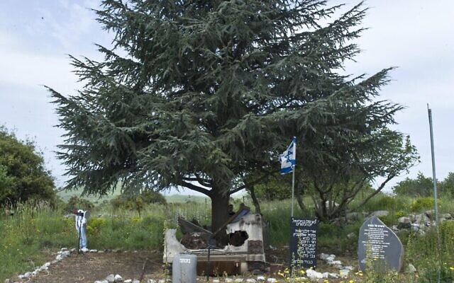 L'Andarta du figuier et du cèdre sur le plateau du Golan. (Crédit : Autorisation de la famille Peled)