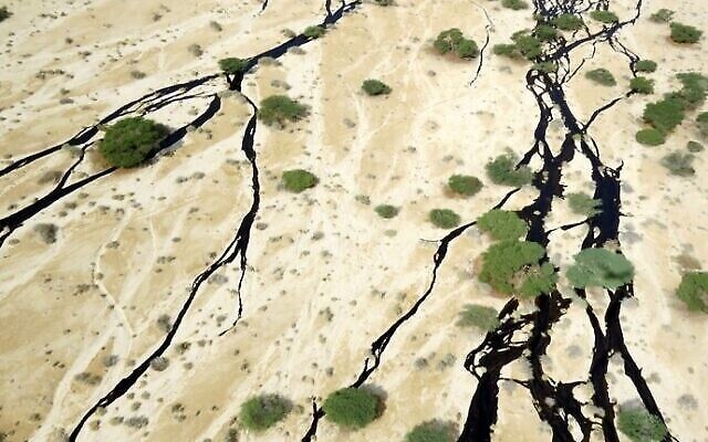 Du pétrole brut répandu dans le lit des cours d'eau de la réserve naturelle d'Evrona à la suite d'une fuite d'un tuyau, le 3 décembre 2014. (Crédit : Porte-parole du ministère de l'Environnement/Roï Talbi) Du pétrole brut répandu dans le lit des cours d'eau de la réserve naturelle d'Evrona à la suite d'une fuite d'un tuyau, le 3 décembre 2014. (Crédit : Porte-parole du ministère de l'Environnement/Roï Talbi)