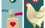 "Ne faites pas tourner les poulets, faites plutôt un don à une association caritative", conseille le ministère de l'Environnement. (Crédit : Ministère de l'Environnement)