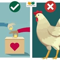 "Ne faites pas tourner les poulets, faites plutôt un don à une association caritative", conseille le ministère de l'Environnement. (Crédit : Ministère de l'Environnement)