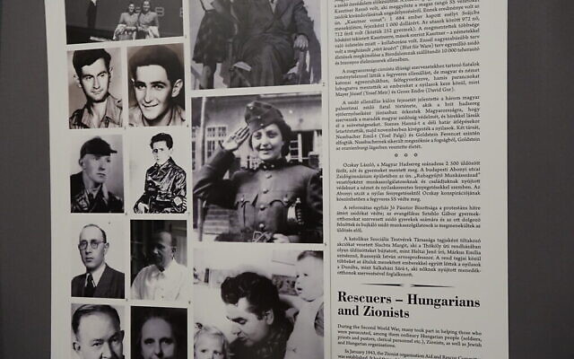 Photo de Hannah Senesh au musée juif hongrois de la synagogue Dhany à Budapest. (Crédit : Shmuel Bar-Am)