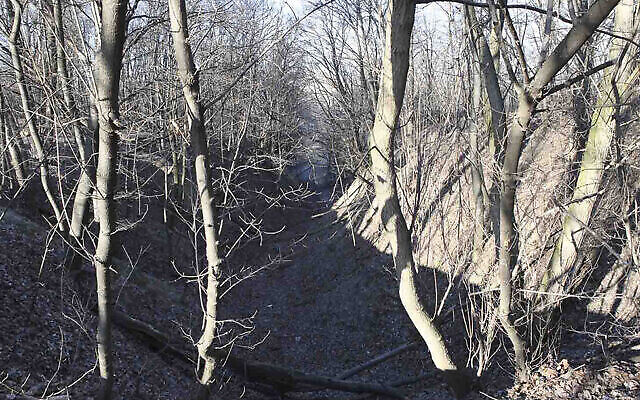 Le site de Babi Yar à Kiev, en Ukraine, est composé de dizaines de ravins et de fossés où les forces nazies et leurs alliés ont tué des dizaines de milliers de Juifs et de non-Juifs en septembre 1941. (Crédit : avec l'aimable autorisation du Centre commémoratif de la Shoah de Babyn Yar via JTA) Le site de Babi Yar à Kiev, en Ukraine, est composé de dizaines de ravins et de fossés où les forces nazies et leurs alliés ont tué des dizaines de milliers de Juifs et de non-Juifs en septembre 1941. (Crédit : avec l'aimable autorisation du Centre commémoratif de la Shoah de Babyn Yar via JTA)
