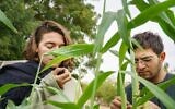 Deux étudiants israélien et palestinien travaillent sur l'agriculture durable dans le cadre d'un programme universitaire d'un semestre à l'Institut Arava d'études environnementales. (Crédit : Marcos Schoenholz)