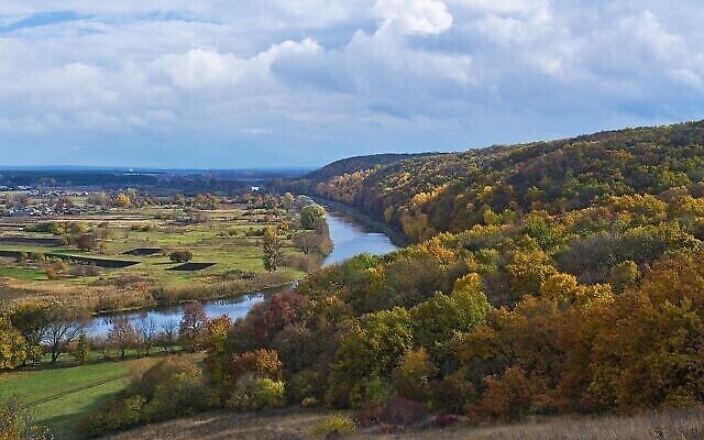 Une forêt en Ukraine. (Aisheyko, CC BY-SA 4.0, Wikimedia Commons) Une forêt en Ukraine. (Aisheyko, CC BY-SA 4.0, Wikimedia Commons)
