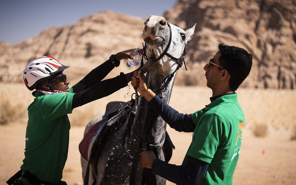 Des cavaliers de l'équipe d'Oman s'occupent de leurs chevaux lors de la deuxième étape des Galops de Jordanie, le 26 octobre 2021, dans le désert de Wadi Rum, à 300 kilomètres au sud d'Amman. (Crédit : Lionel BONAVENTURE / AFP)