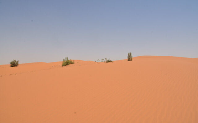 Le désert du Néfoud, en Arabie saoudite. (Crédit : Flickr) Le désert du Néfoud, en Arabie saoudite. (Crédit : Flickr)