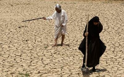 Sur cette photo du 9 juillet 2009, Adilla Finchaan, 50 ans, et son mari Ashore Mohammed, 60 ans, vérifient leurs terres à Latifiyah, à environ 30 kilomètres au sud de Bagdad, en Irak. (Crédit : AP Photo/Hadi Mizban)