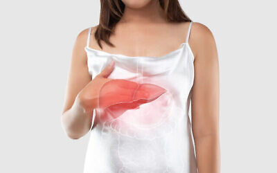 Illustration du foie dans le corps d'une femme (Crédit : Tharakorn via iStock by Getty Images)