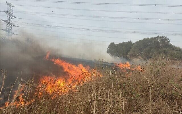 Les pompiers s'affairent à éteindre un incendie près de Hadera, le 13 novembre 2021. (Services israéliens de secours et d'incendie) Les pompiers s'affairent à éteindre un incendie près de Hadera, le 13 novembre 2021. (Services israéliens de secours et d'incendie)