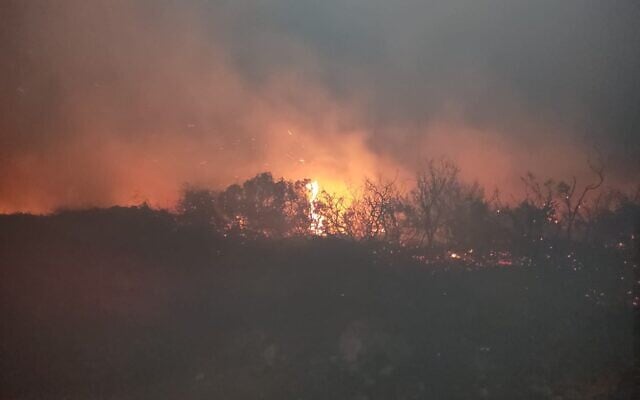 Les pompiers luttent contre un incendie près de Katzir, le 13 novembre 2021. (Crédit : Service des incendies et des secours)