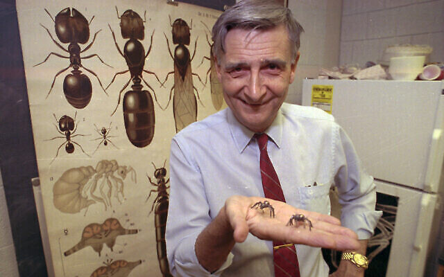 Edward O. Wilson, co-auteur du livre « Les fourmis », qui a remporté le prix Pulitzer de non-fiction, le 10 juin 1991. (Crédit : AP Photo/File) Edward O. Wilson, co-auteur du livre « Les fourmis », qui a remporté le prix Pulitzer de non-fiction, le 10 juin 1991. (Crédit : AP Photo/File)