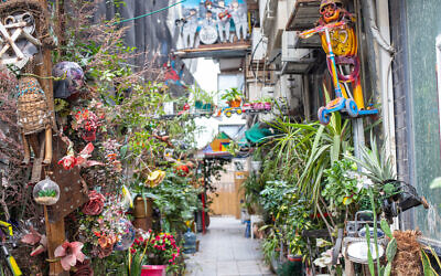 Le jardin d'Itzik Purim sur l'avenue Ben Yehuda à Tel Aviv (Crédit : Sophie Rachel Amzallag)