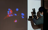 Image d'illustration : Un photographe prend une photo d'une image de projecteur montrant une coloration par immunofluorescence de cellules Vero E6 infectées par Omicro, à Hong Kong, le 1er décembre 2021. (AP Photo/Kin Cheung)