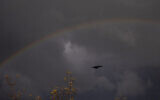 Un corbeau vole alors qu'un arc-en-ciel apparaît au-dessus de Hadera, le 18 décembre 2021. (AP Photo/Ariel Schalit)