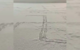 De larges croix gammées gravées sur la glace d’une patinoire de Ville Mont-Royal, au Canada. (Capture d’écran Twitter)