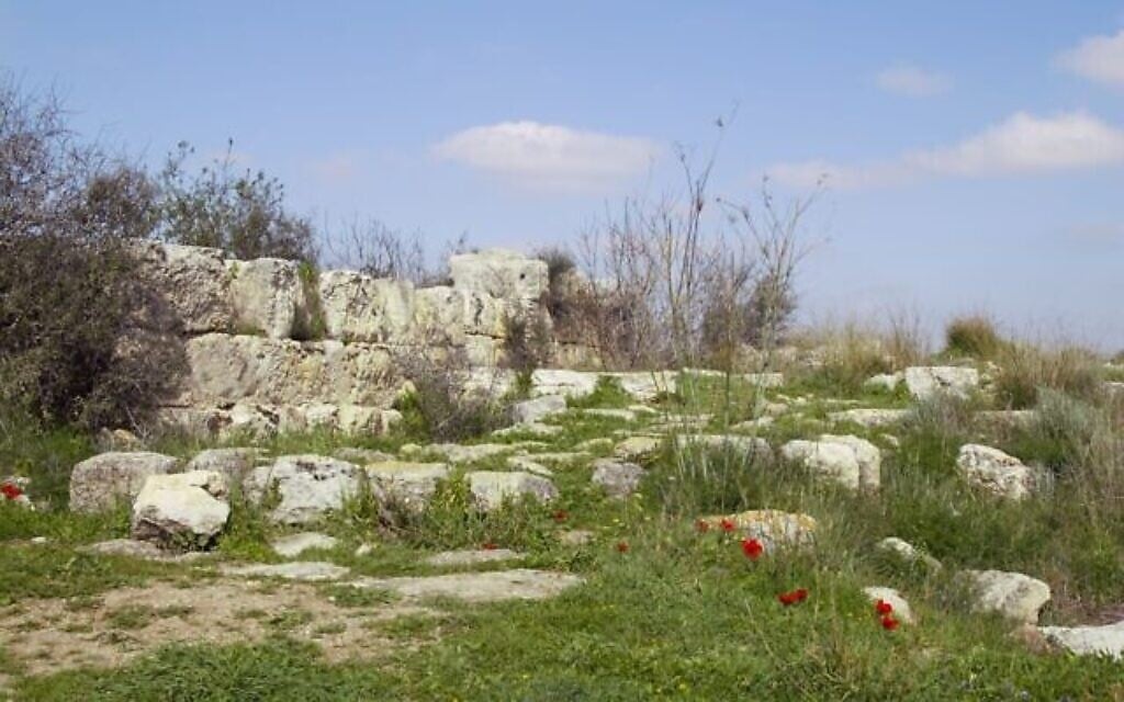 Une vue des ruines de la forteresse hasmonéenne au sommet de la colline de la forêt de Hollande. (Crédit : Shmuel Bar-Am)