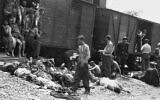 Illustration : Les victimes juives du pogrom d'Iași en Roumanie, le 1er juillet 1941. (Crédit : Wikimedia Commons)