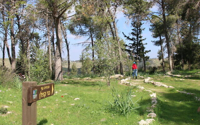 L'observatoire Benny Kaplan dans la forêt de Neve Ilan. (Crédit : Shmuel Bar-Am)