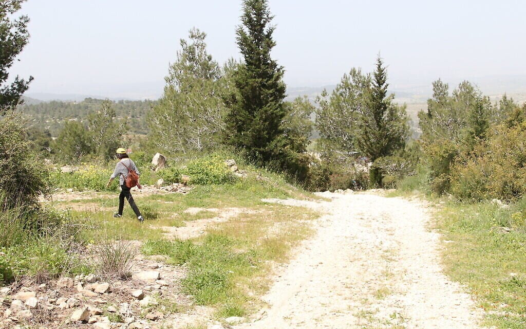 Une photo prise le long de la promenade historique de la forêt de Neve Ilan. (Crédit : Shmuel Bar-Am)